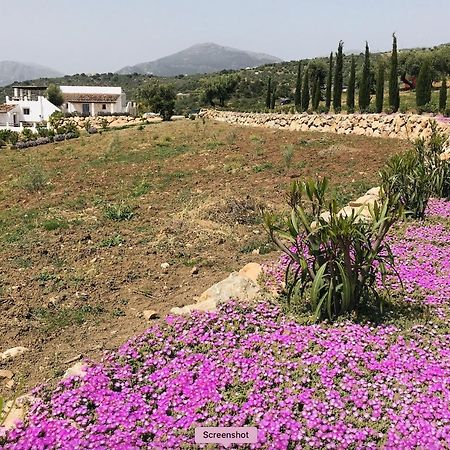 Periana Finca Zayas Casa Rural & Guest Suites מראה חיצוני תמונה