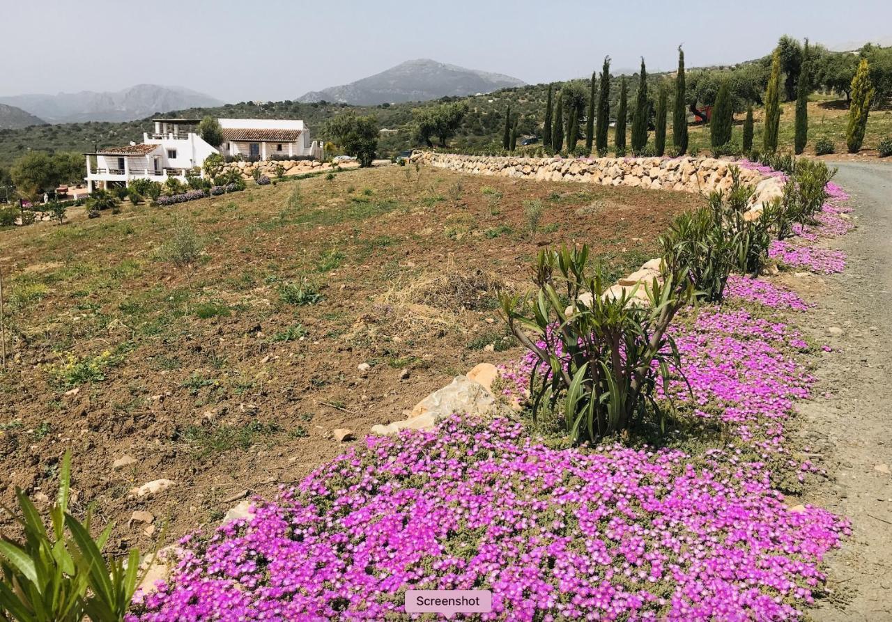 Periana Finca Zayas Casa Rural & Guest Suites מראה חיצוני תמונה